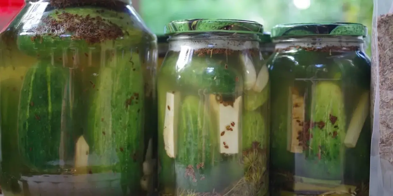 Słoiki z ogórkami kiszonymi, pełne aromatycznych przypraw i świeżych ziół.