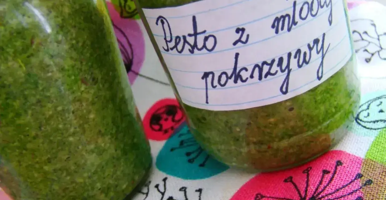 Dwa słoiki domowego pesto z młodej pokrzywy, gotowe do spożycia.