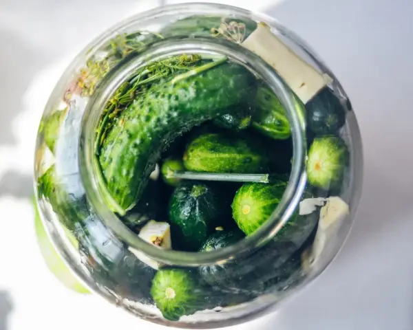 Słoik pełen świeżych ogórków konserwowych, z dodatkiem chrzanu i kopru. Czekają na zalewę.