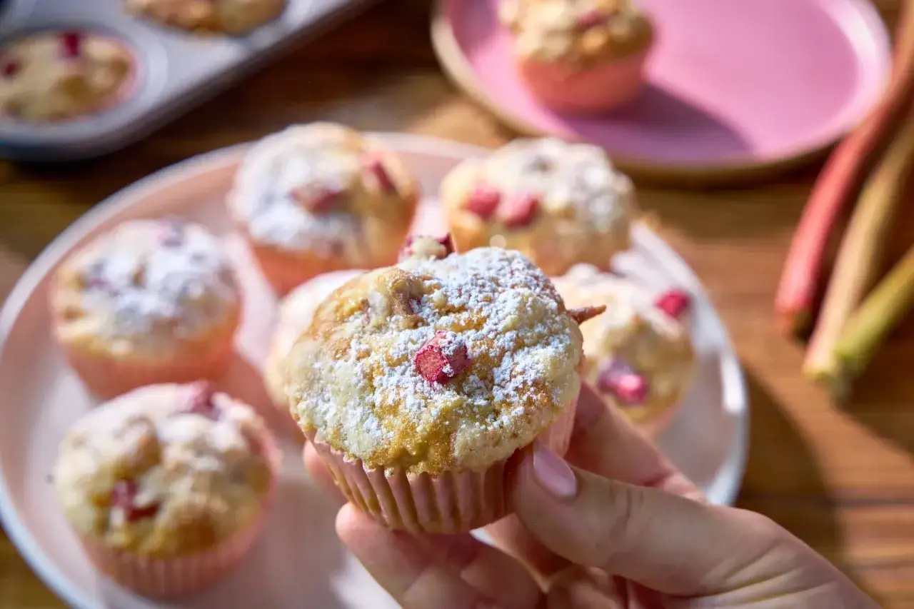 Pyszne muffinki z rabarbarem, posypane cukrem pudrem, kuszą swoim wyglądem. Na talerzu czeka ich więcej, a obok leżą świeże łodygi rabarbaru.